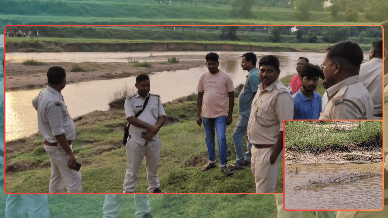  गोड्डा के गेरुआ नदी में दिखा विशाल मगरमच्छ, लोगों में दहशत का माहौल, वन विभाग अलर्ट