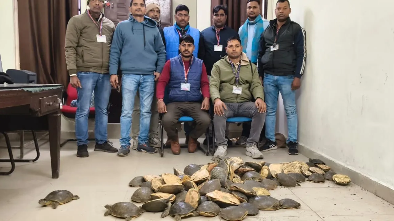RPF की बड़ी कार्रवाई: गया जंक्शन से 102 जिंदा कछुए बरामद.. तस्करों को पकड़ने के प्रयास में पुलिस