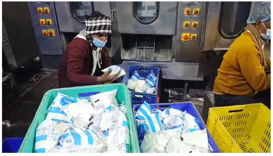 Makar Sankranti 2026: बिहार में मकर संक्रांति पर दही-दूध की बहार, पटना डेयरी तैयार