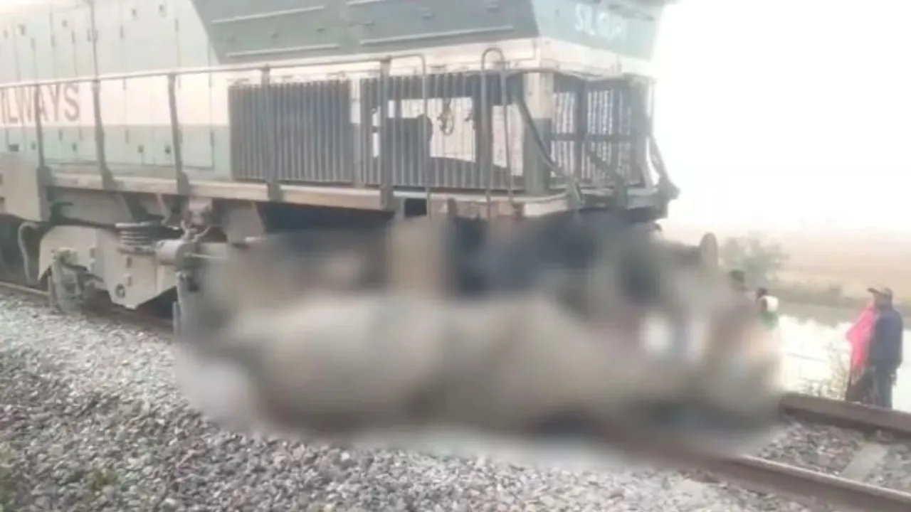 असम में भीषण रेल हादसा ! राजधानी एक्सप्रेस की चपेट में आकर 8 हाथियों की दर्दनाक मौत, इंजन और 5 डिब्बे पटरी से उतरे