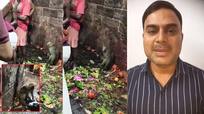 श्रद्धालुओं के कतार से बाबा बैद्यनाथ मंदिर के गर्भगृह पहुंचा बंदर, अब सुरक्षा व्यवस्था पर उठ रहे सवाल