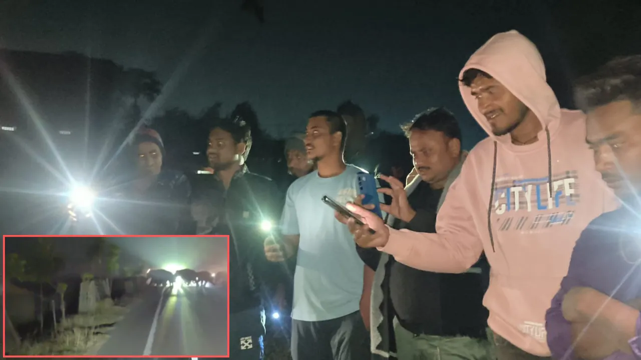 गिरिडीह के तेलोडीह में घुसा जंगली हाथियों का झुंड, खेतों पर लगे फसल को पहुंचाया नुकसान