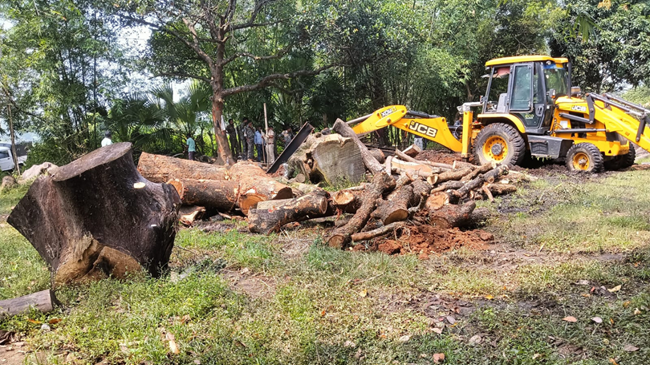 दो अवैध आरा फैक्ट्री पर वन विभाग की बड़ी कार्रवाई, दो लाख की लकड़ी जब्त