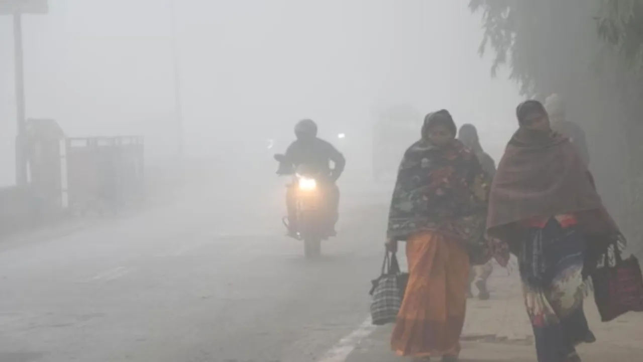 सुबह कोहरा, रात में बढ़ेगी ठंड ! गोड्डा में अगले 5 दिनों के लिए मौसम का अलर्ट जारी