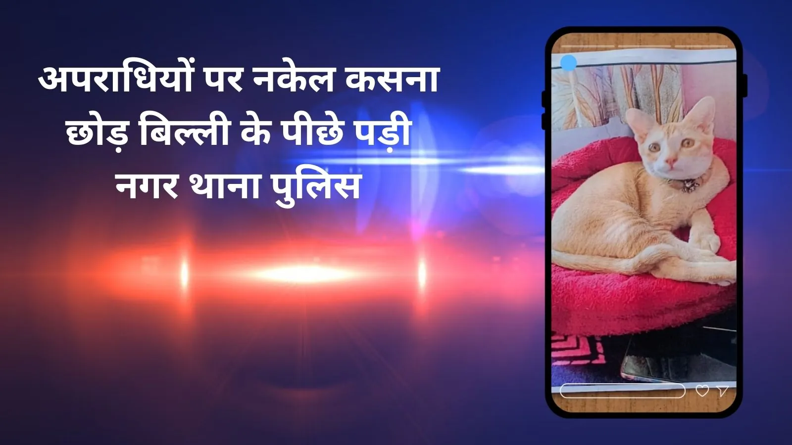 बिल्ली की तलाश में निकली मोतिहारी पुलिस, बन गई है चर्चा का विषय