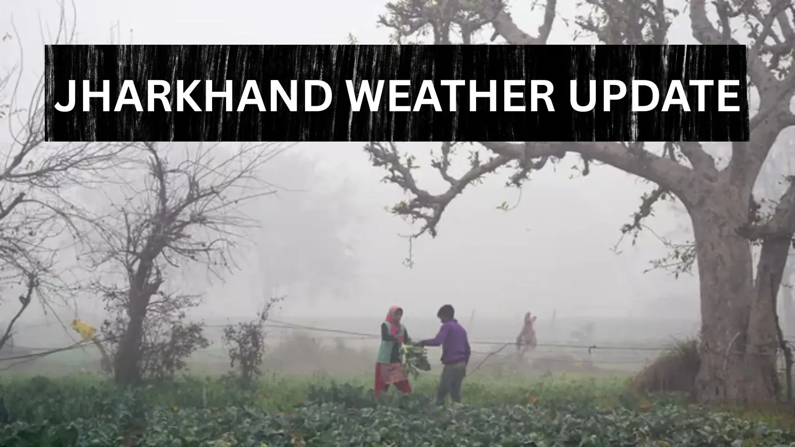 Weather Update: तापमान में कुछ उछाल के बाद फिर से आएगी गिरावट, शीतलहर चलने की है भारी संभावना 