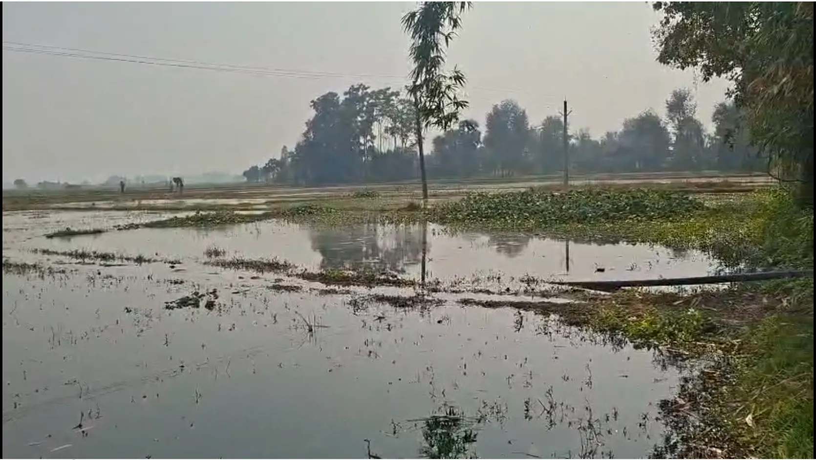 मुंगेर में मनरेगा के तहत करोड़ों का घोटाला ? नहर में अचानक पानी छोड़े जाने से बाढ़ जैसे हालात, सौ बीघा खेत जलमग्न, किसान परेशान