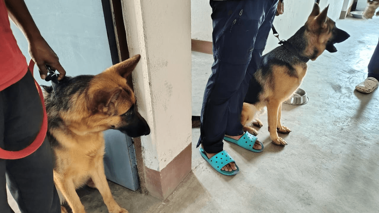 मोतिहारी पुलिस को मिला ‘सूंघता शिकंजा’, डॉग स्क्वॉड की एंट्री से अपराधियों में हड़कंप