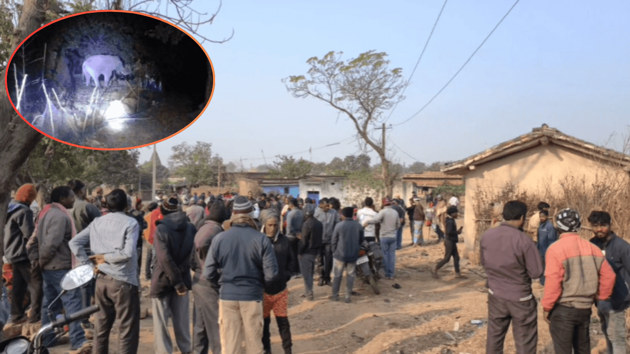 बोकारो में जंगली हाथियों का आतंक जारी, एक ही परिवार के 3 लोगों को रौंदकर मार डाला